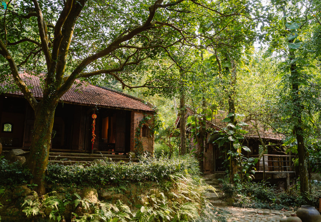 Không gian yên bình tại bảo tàng Đồng Đình