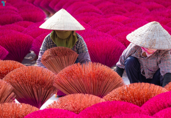 Làng hương Thủy Xuân đa sắc màu
