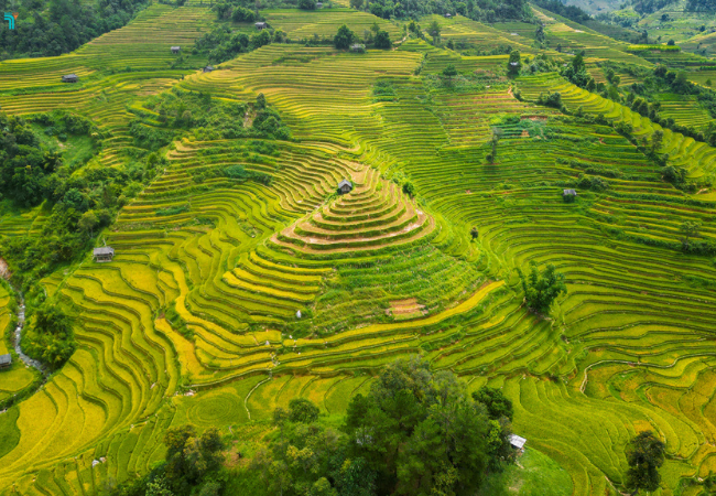 Lao Chải Tả Van là nơi sinh sống của nhiều dân tộc thiểu số