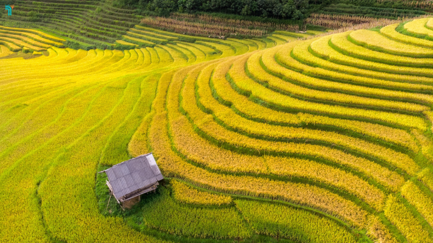 Du lịch Nậm Cang Sa Pa: Vẻ đẹp hoang sơ Tây Bắc