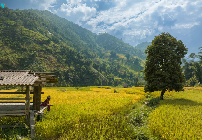 Nậm Cang điểm lý tưởng cho hoạt động check in, trekking, khám phá thiên nhiên