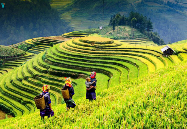 Có thể cùng người tại bản tham gia hoạt động trên nương