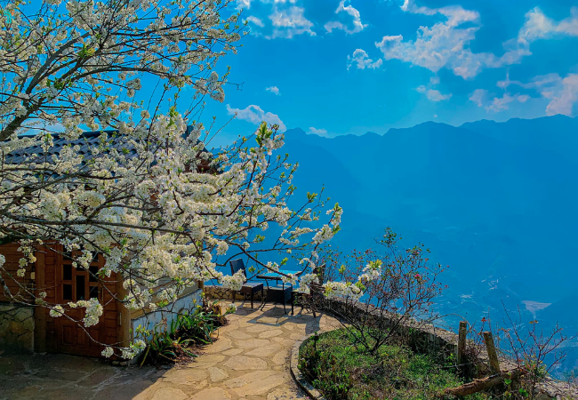 Rock Garden Homestay Sapa phông nền lý tưởng cho những bức ảnh “triệu like”