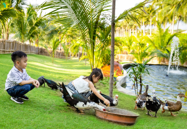 Nông trại của Fusion Resort Cam Ranh là một trong những nông trại nghỉ dưỡng lớn nhất tại Việt Nam. 