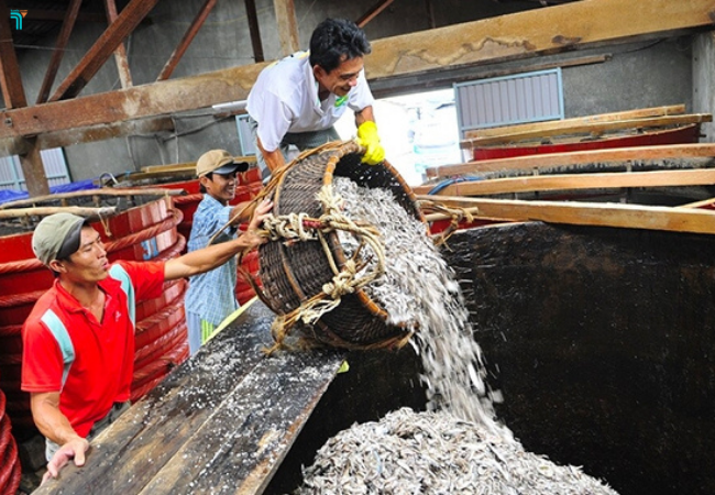Nước mắm tại các nhà thùng nước mắm Phú Quốc được làm từ những mẻ cá tươi rói 