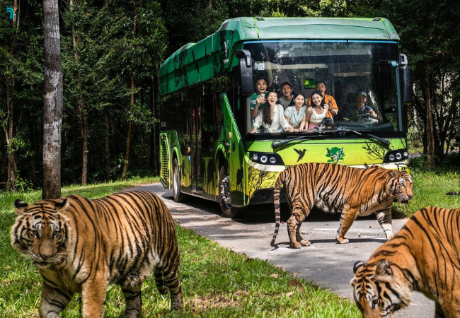 Kết hợp tham quan, khám phá vườn thú Vinpearl Safari Phú Quốc